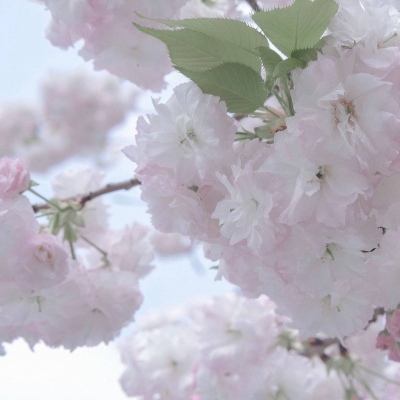 兽设天空场景绘制福瑞群